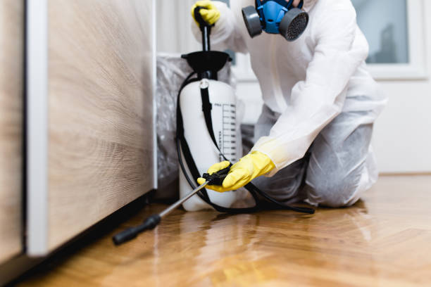 Best Residential Pest Control  in Pampa, TX