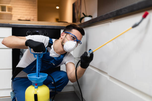 Best Commercial Pest Control Services  in Pampa, TX