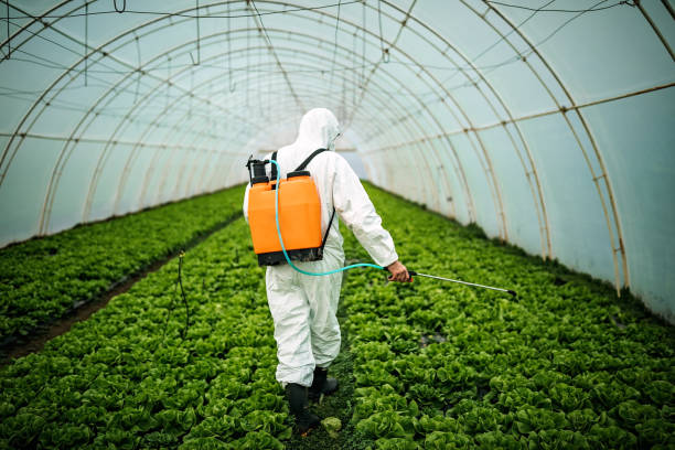 Best Pest Removal Services  in Pampa, TX