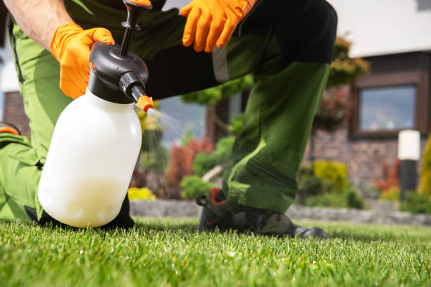 Best Insect Control  in Pampa, TX