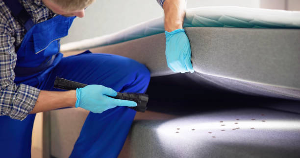 Best Exterminator Services  in Pampa, TX
