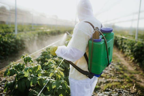 Best Pest Control Near Me  in Pampa, TX